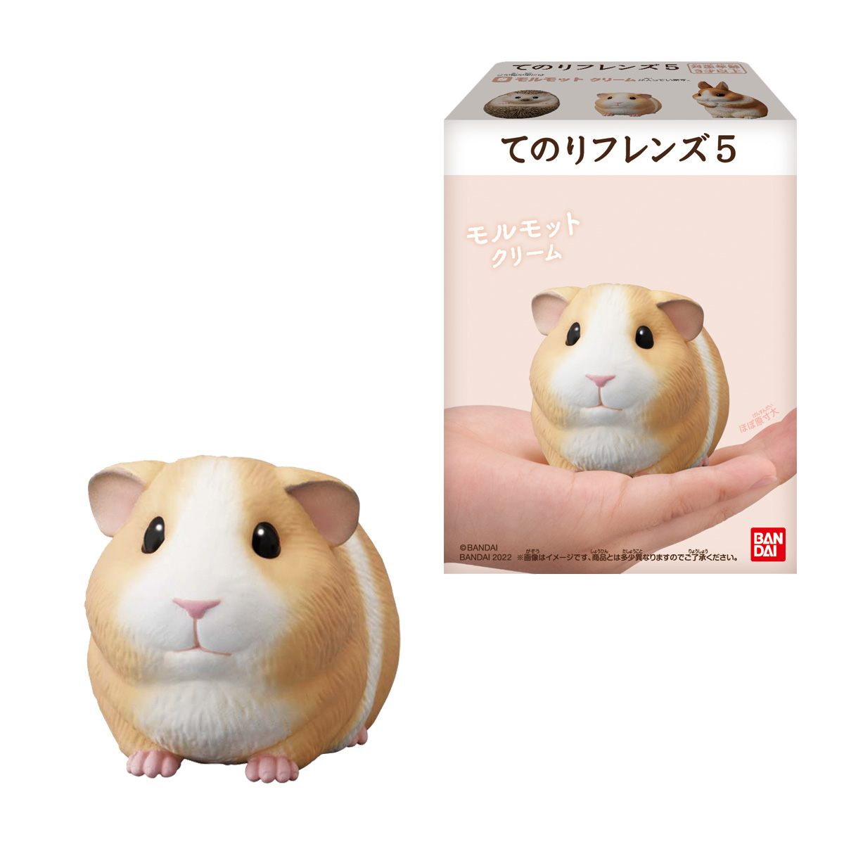 ウサギやハムスターなど癒やされる小動物たちが大集合！ 「てのり