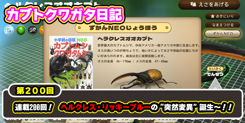 カブトクワガタ日記】第200回 連載200回！ ヘルクレス・リッキーブルーの